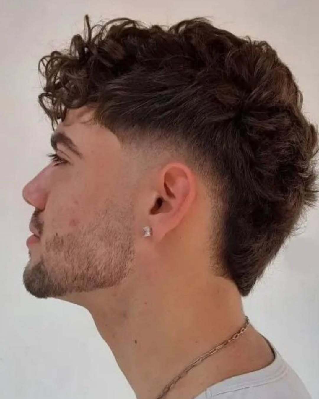 Mini Mullet
