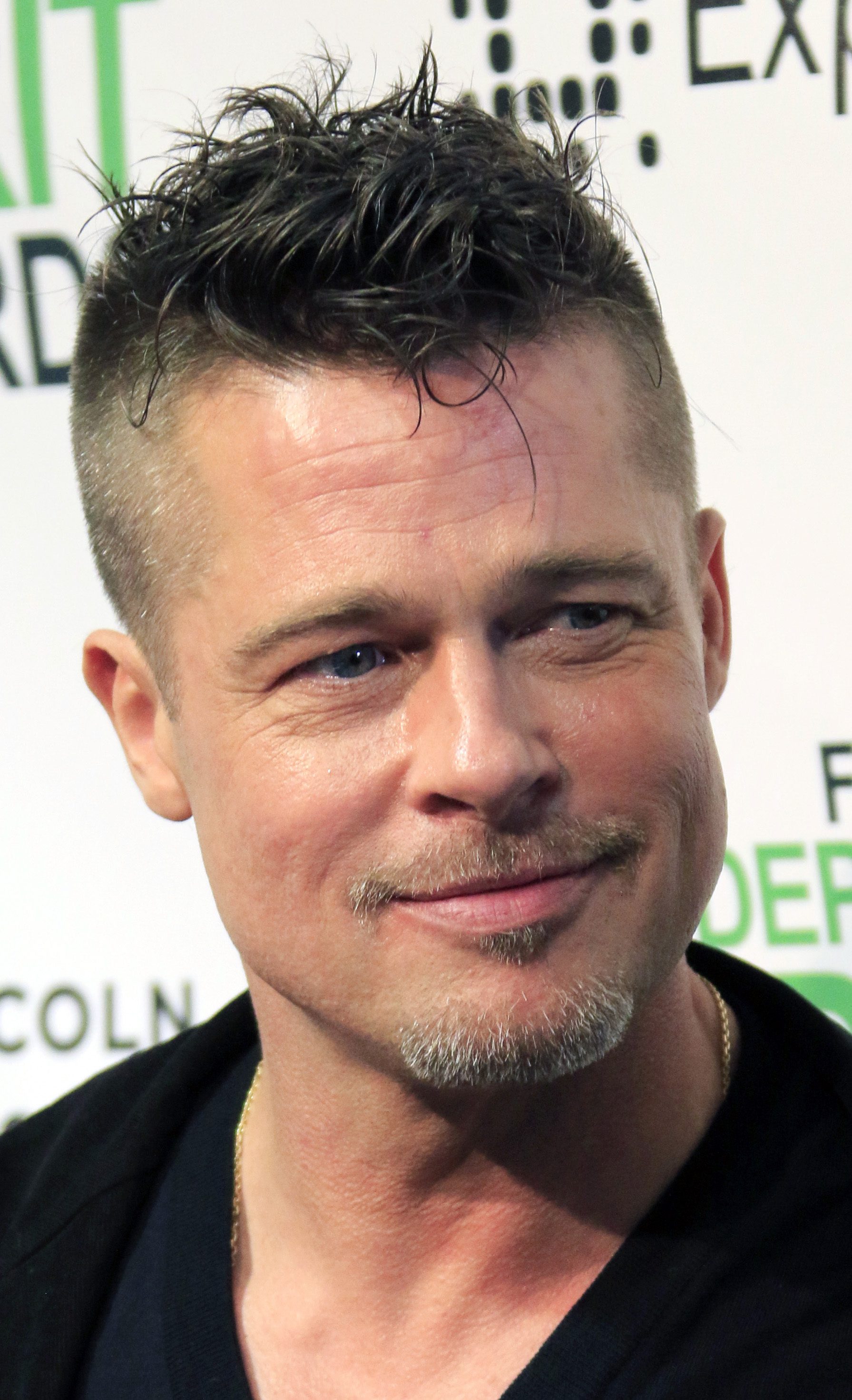 Brad Pitt's Messy Quiff