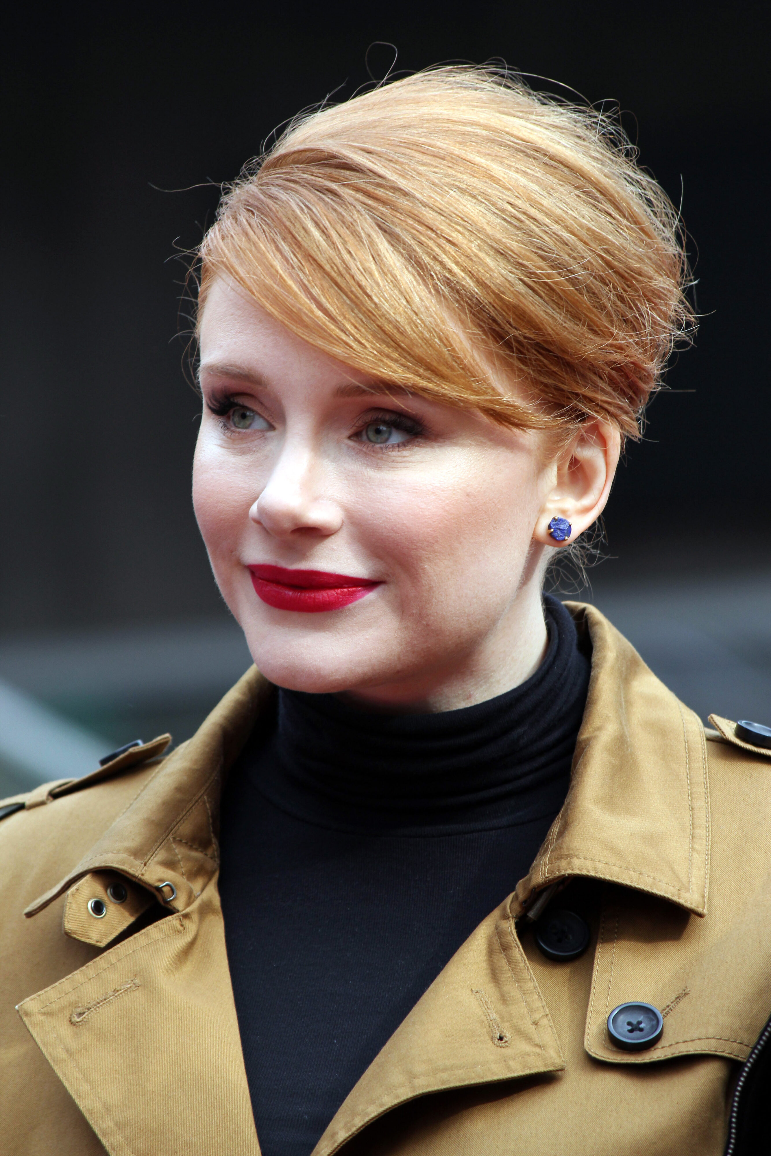 Bryce Dallas Howard's French Twist With Side Bangs