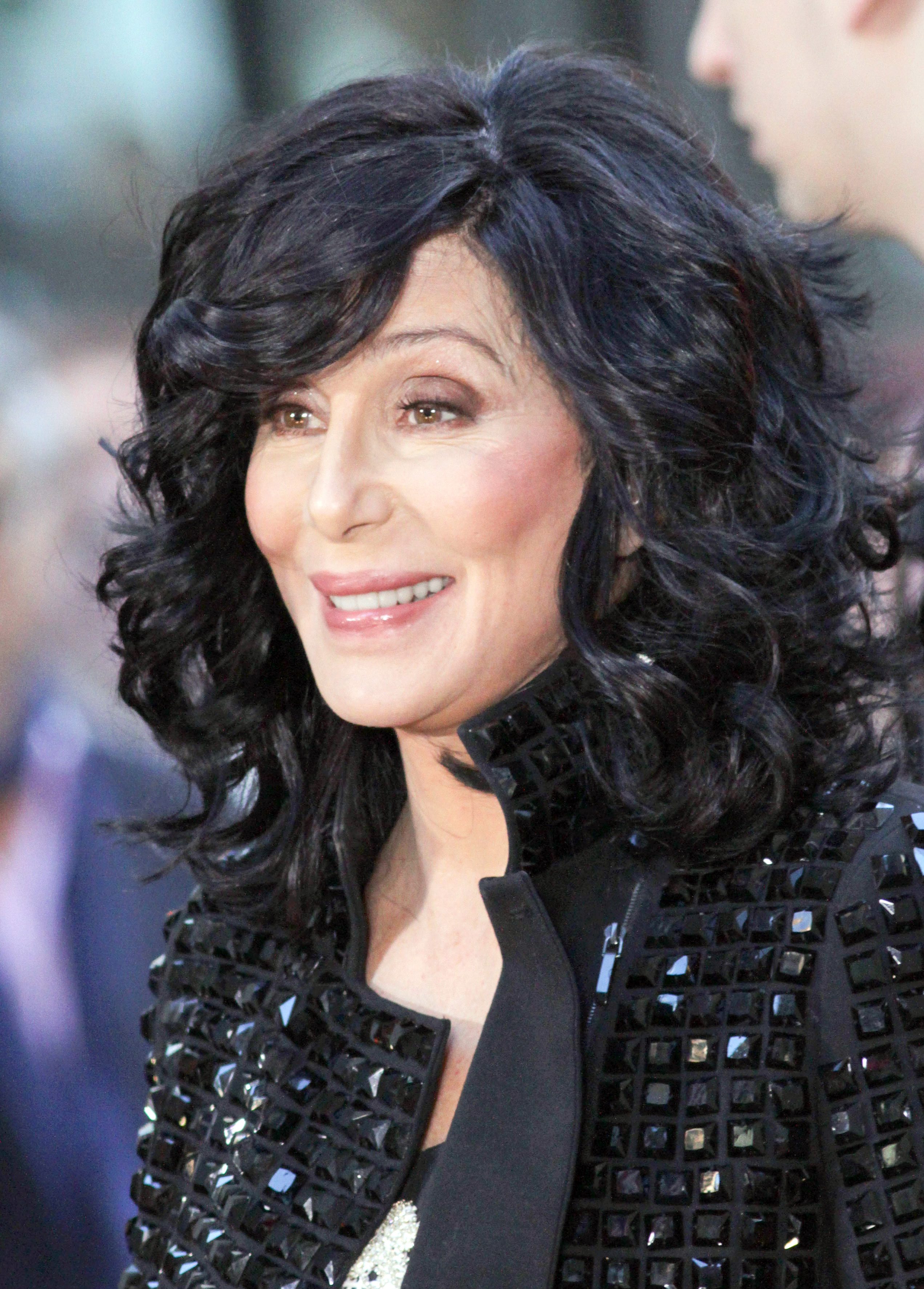 Cher's Black Layered Mane