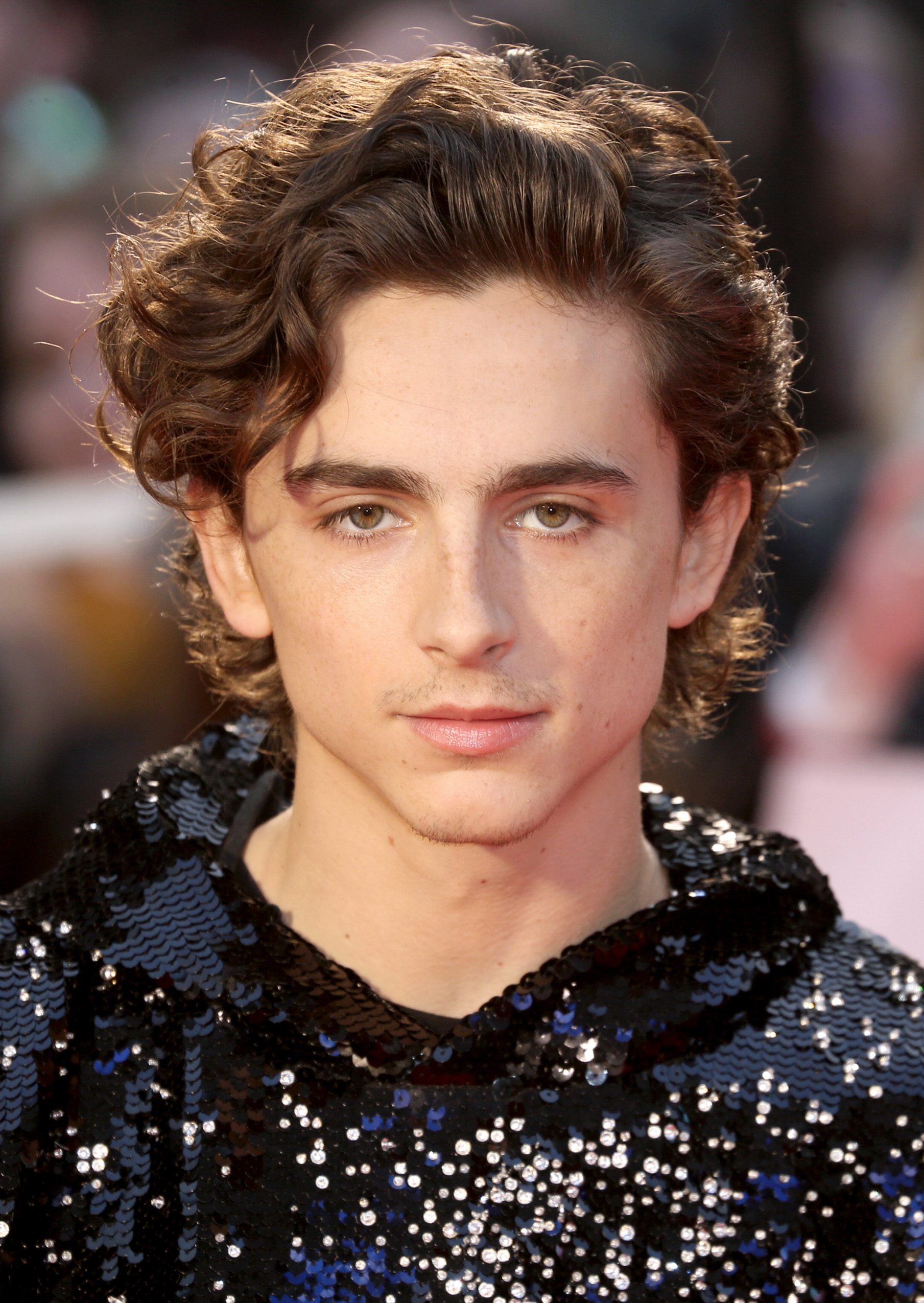 Timothee Chalamet’s Curly Taper 