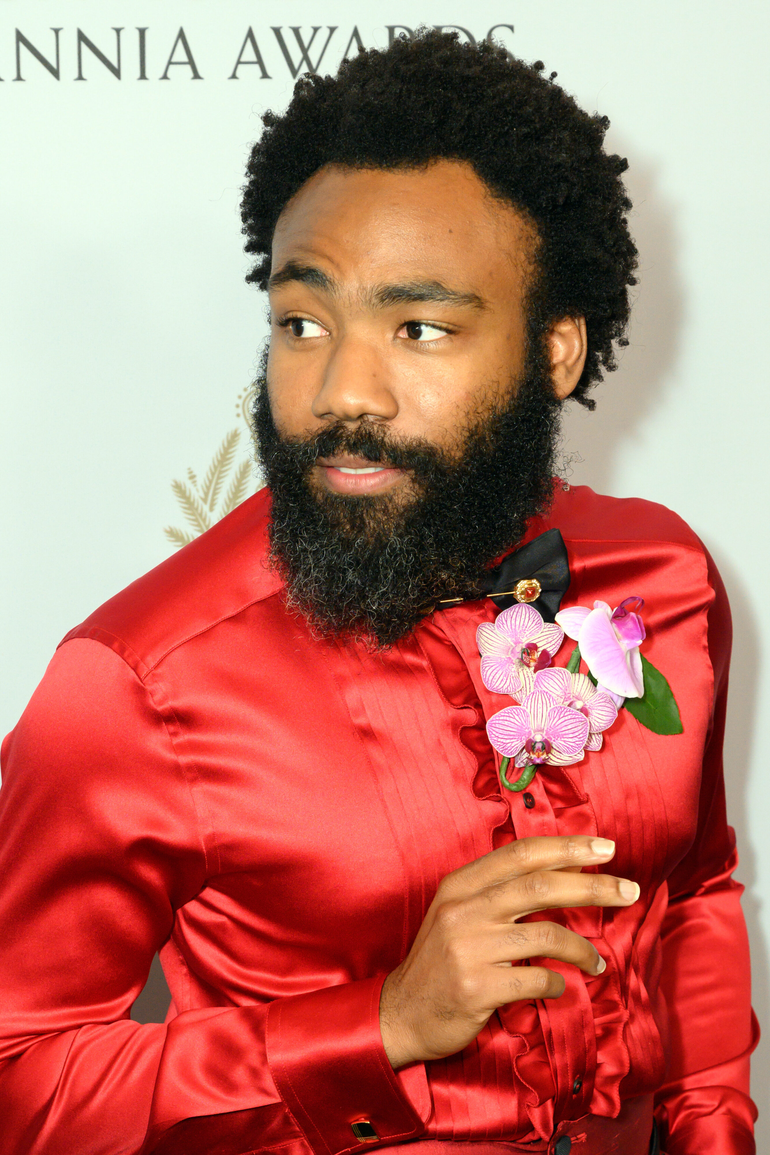 Donald Glover's Bushy Beard