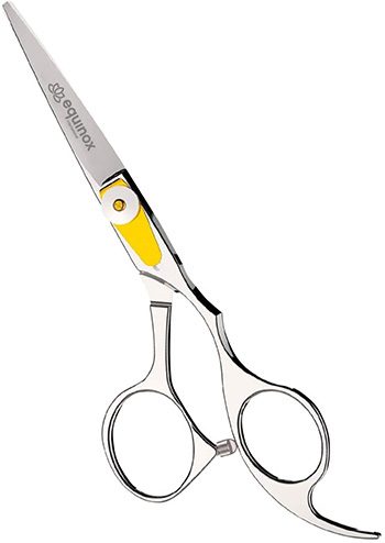 Equinox Professional Shears