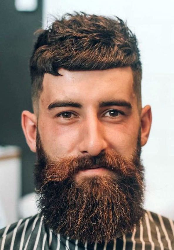 Hipster Beard and French Crop Twist