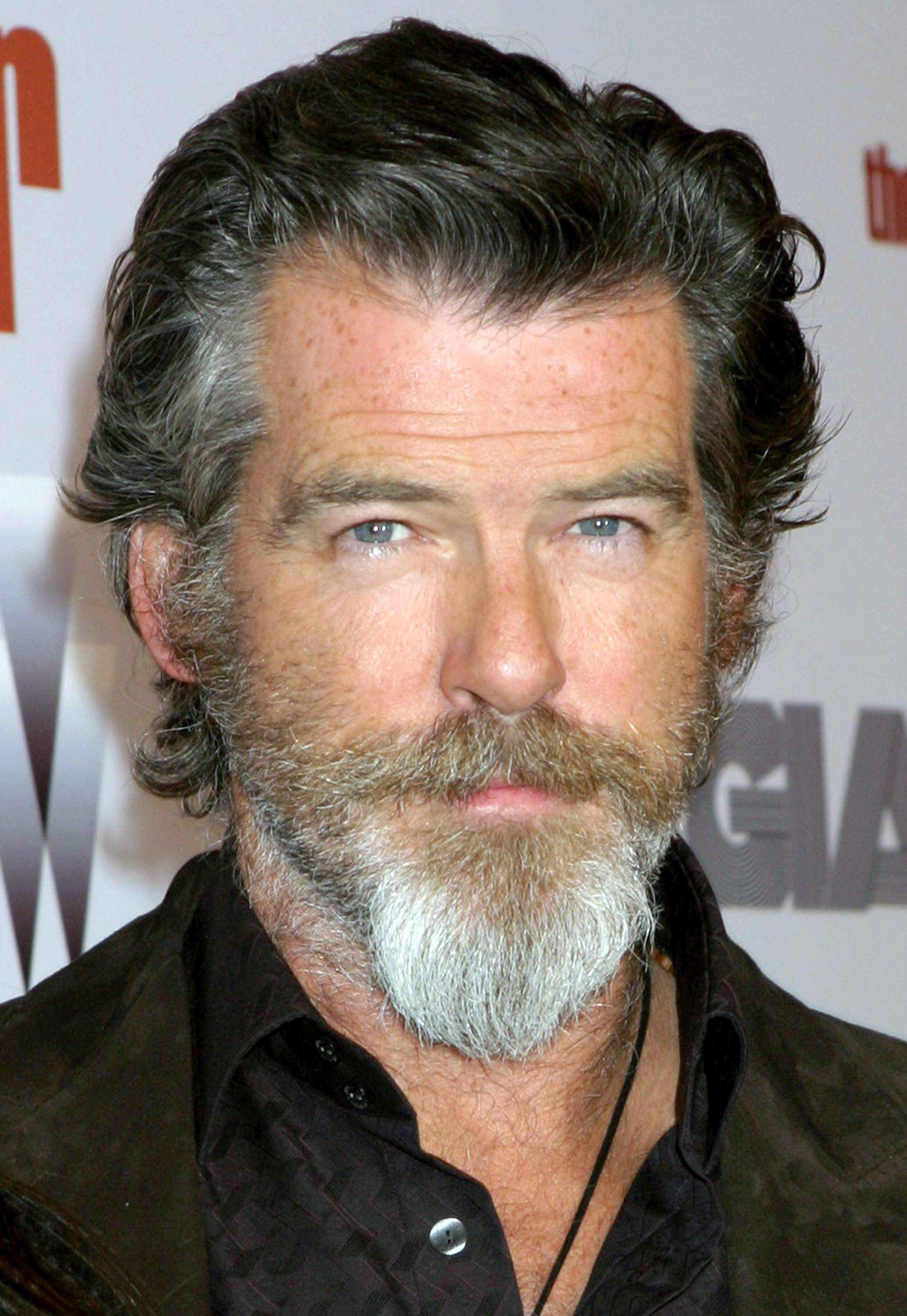 Pierce Brosnan's Long Brushed Back