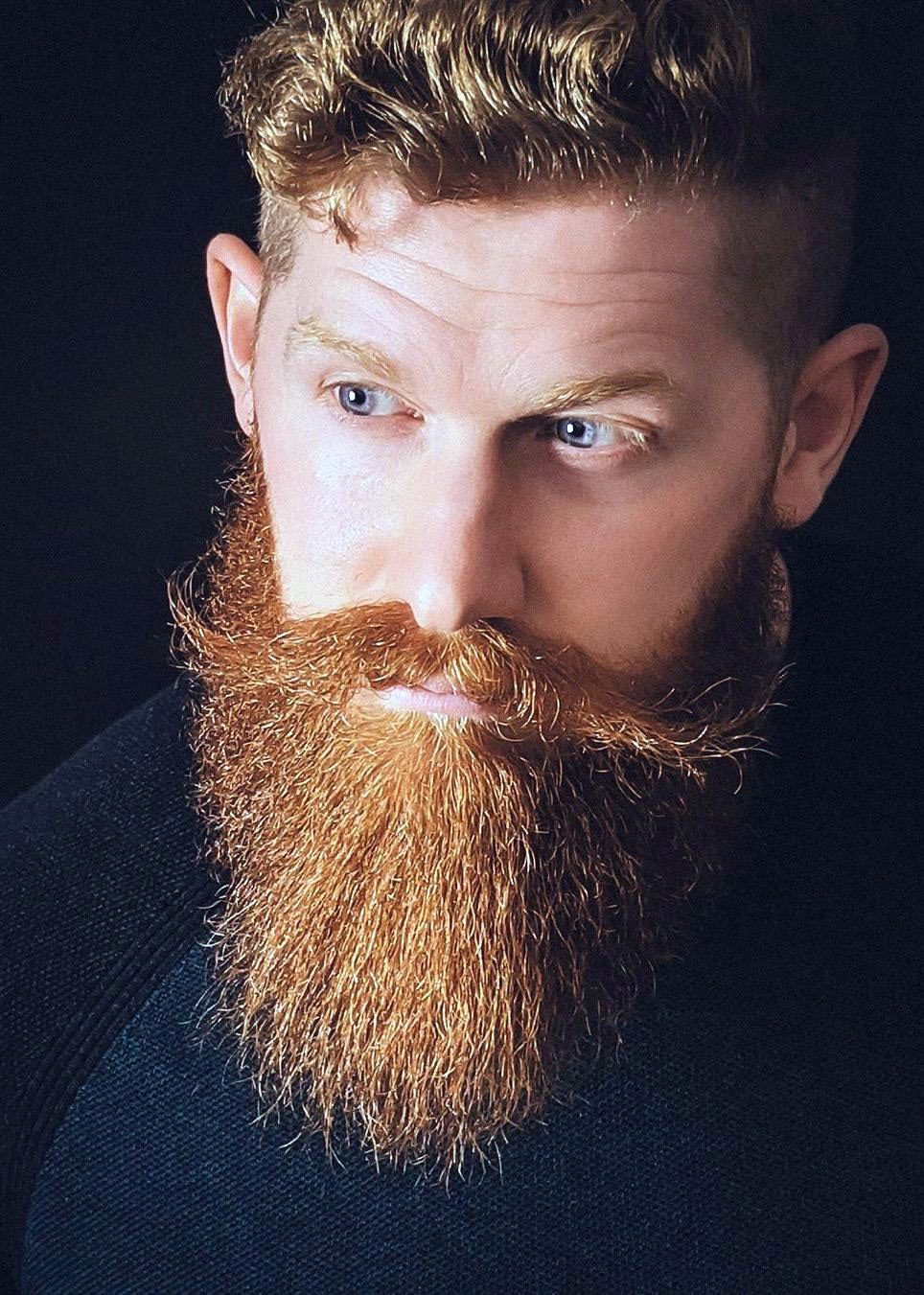 Rugged Viking Inspired Beard