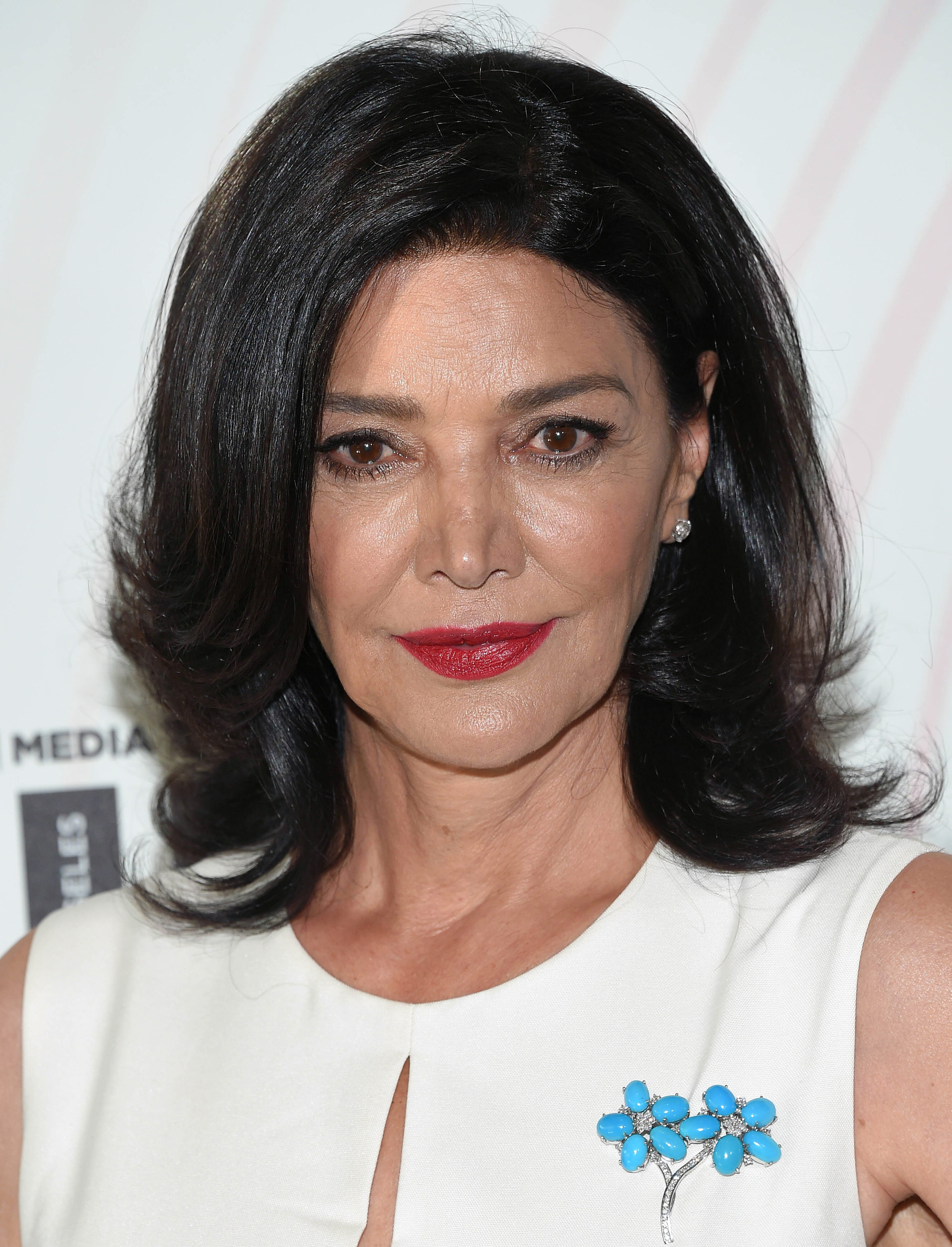 Shohreh Aghdashloo's Deep Side Part and Layers