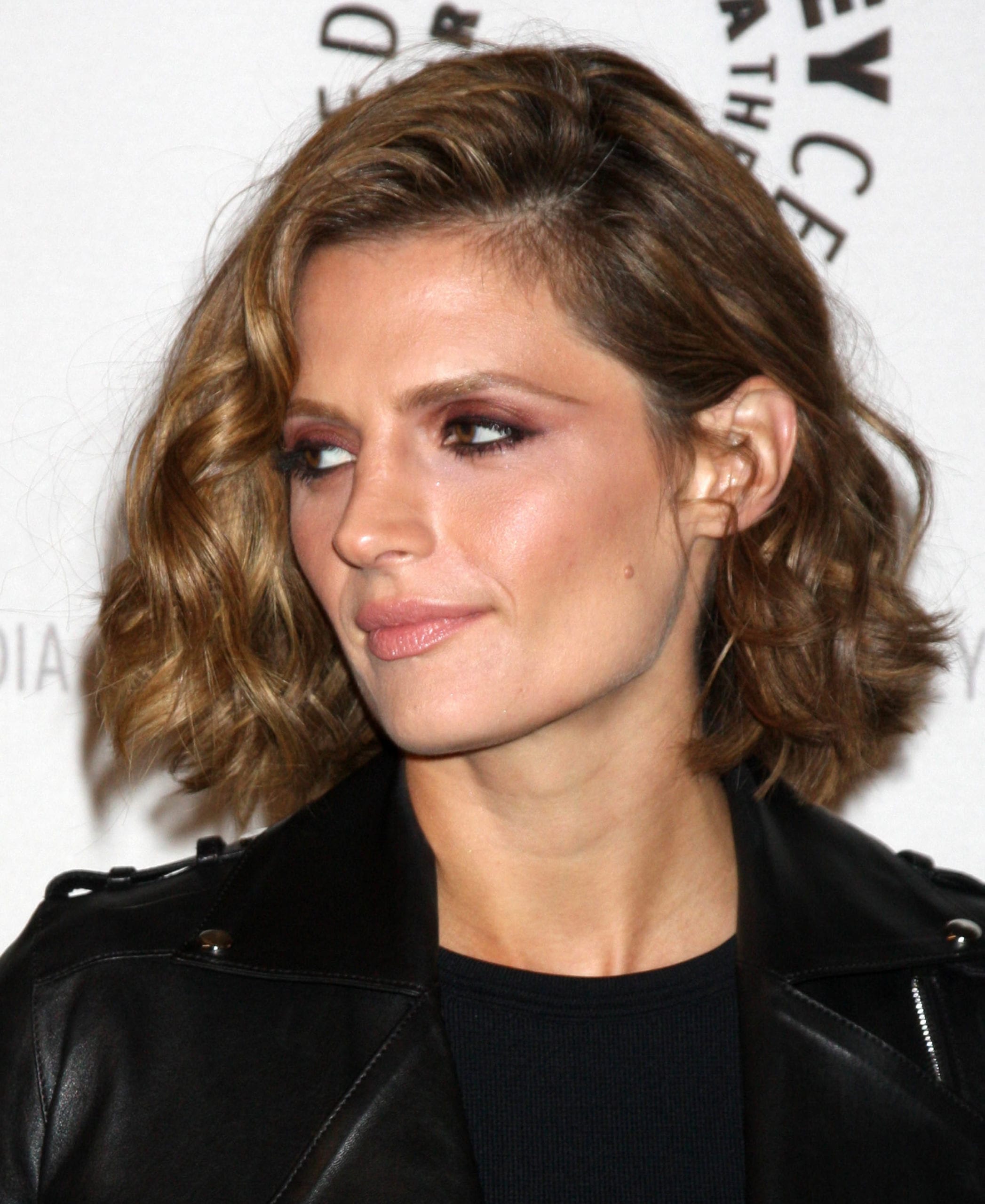 Stana Katic's Side Natural-Part and Curls