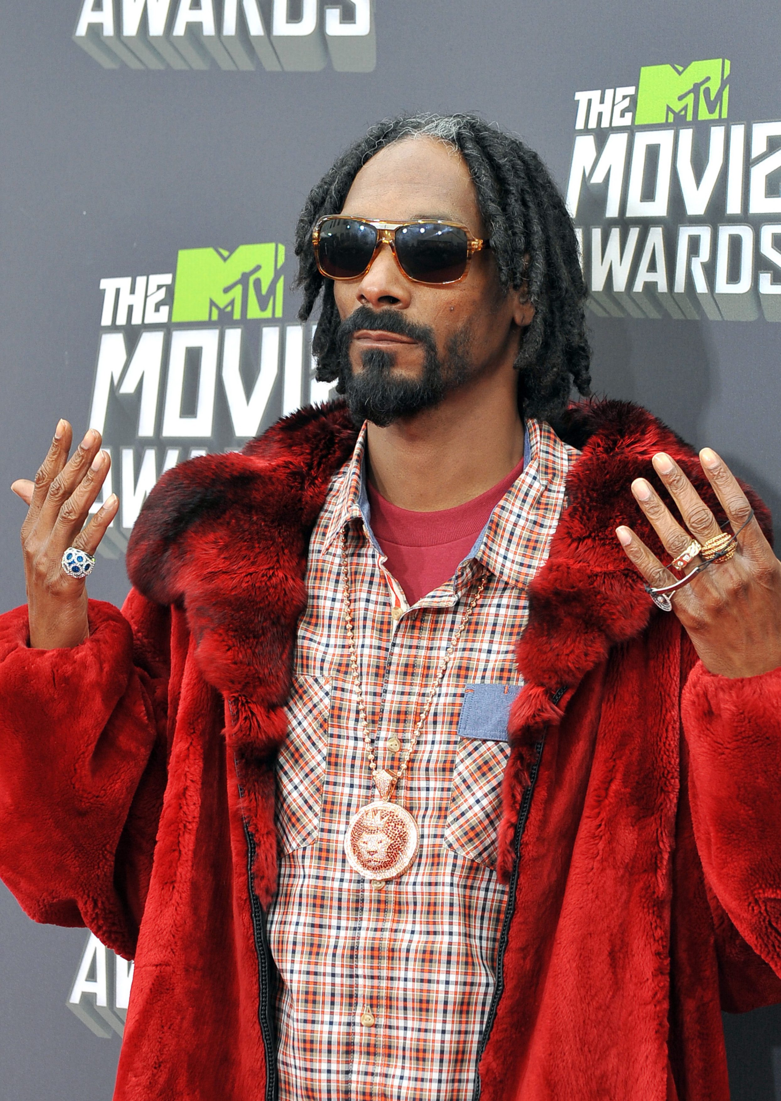 Snoop Dogg’s Tangled Twist Braids 